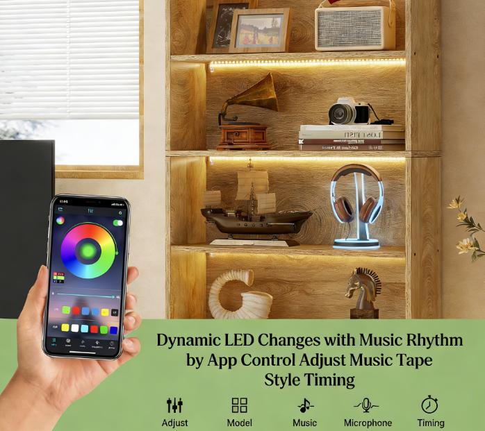 Spacious Display Organizer, Bookshelf